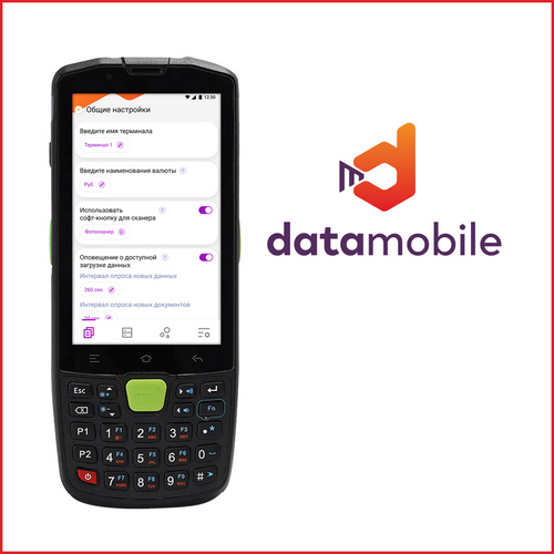 ПО DataMobile Online LifeTime